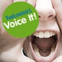 Radiowaves Voice It